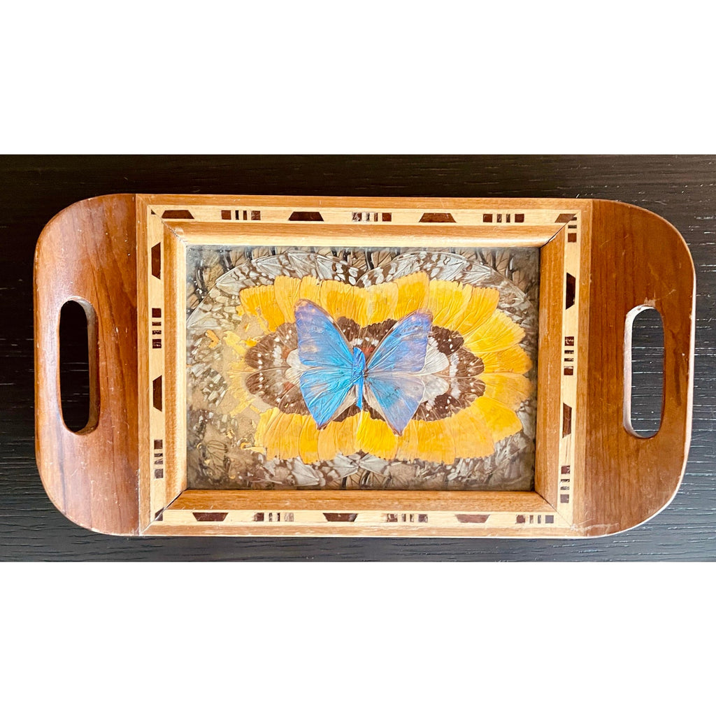 Set Of 3 Early 20th Century Brazilian Butterfly Trays