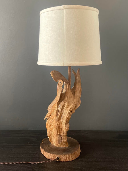 Driftwood lamp with Edison outlet bulb