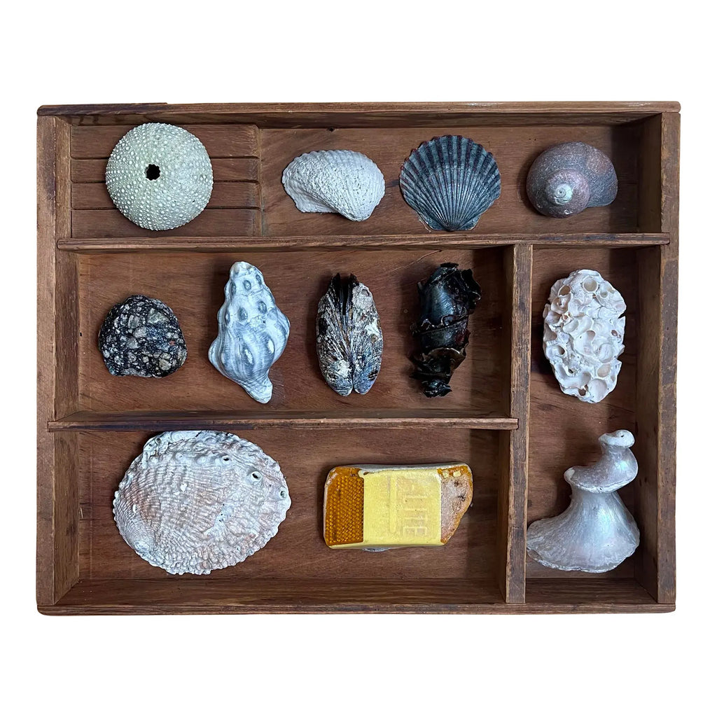 Small Vintage Wooden Printer’s Tray With Coastal Treasures From Santa Barbara