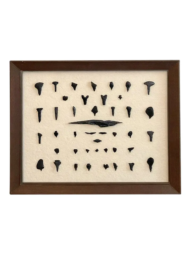 Framed Native American Obsidian & Dacite Arrowhead and Tool Collection