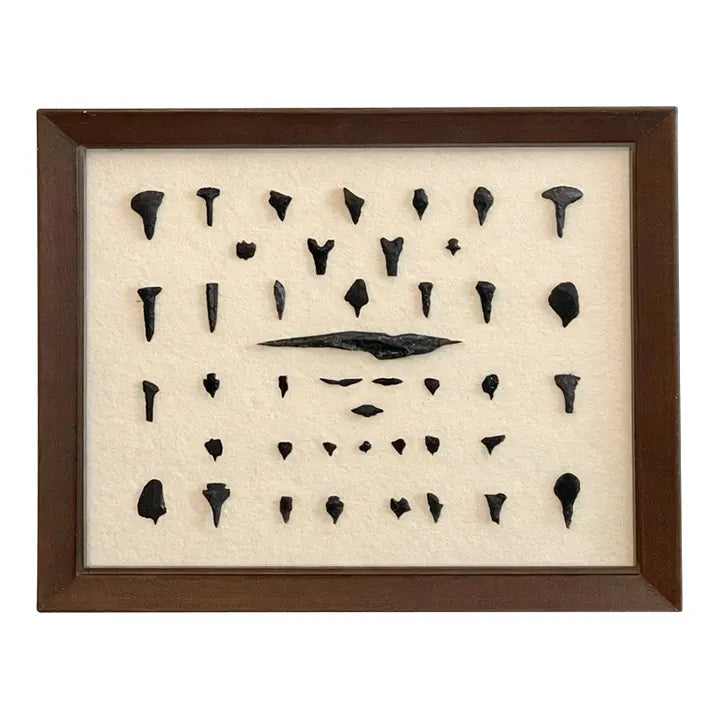 Framed Native American Obsidian & Dacite Arrowhead and Tool Collection