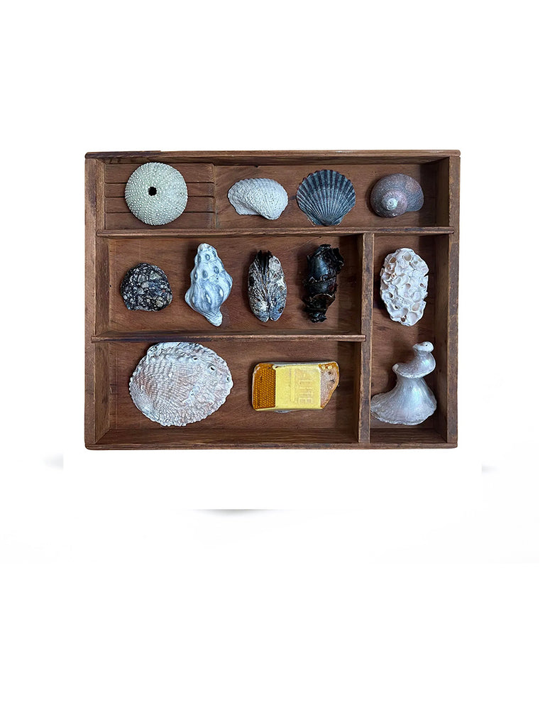 Small Vintage Wooden Printer’s Tray With Coastal Treasures From Santa Barbara