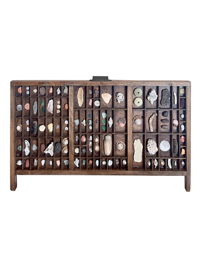 Vintage Wooden Printer’s Tray With Curated Sea Shell Collection