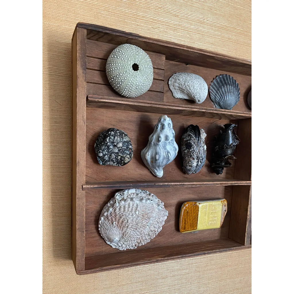 Small Vintage Wooden Printer’s Tray With Coastal Treasures From Santa Barbara