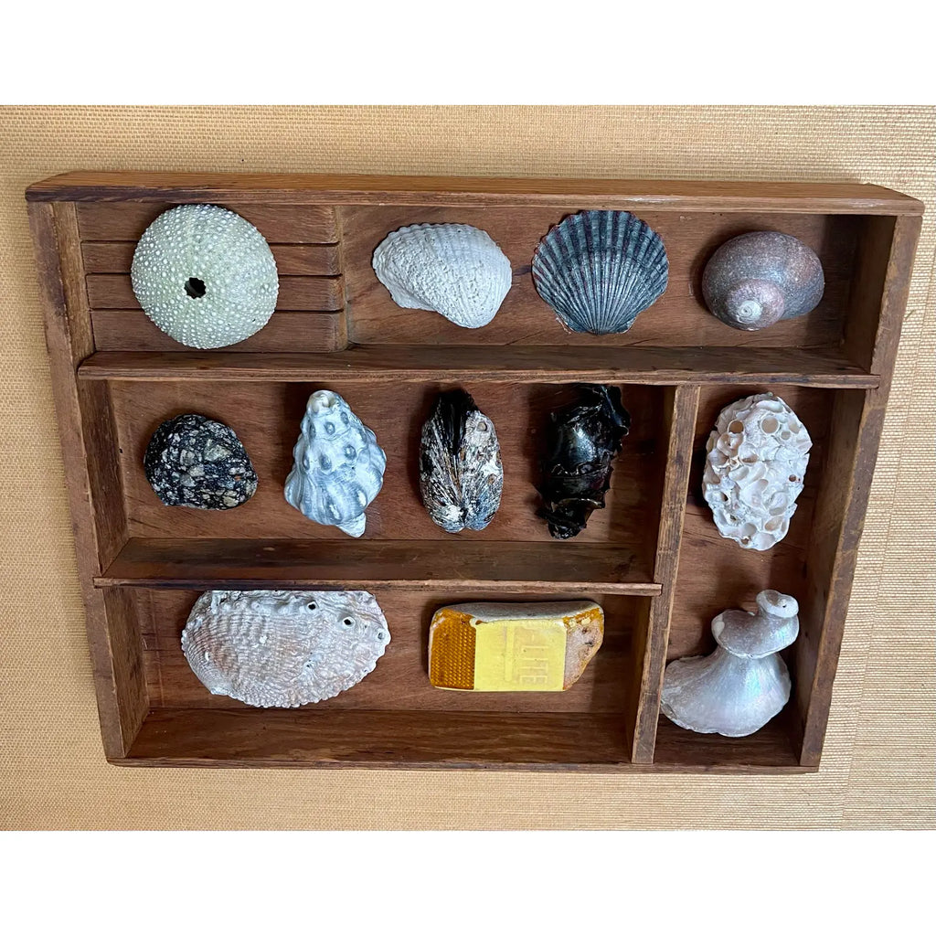 Small Vintage Wooden Printer’s Tray With Coastal Treasures From Santa Barbara