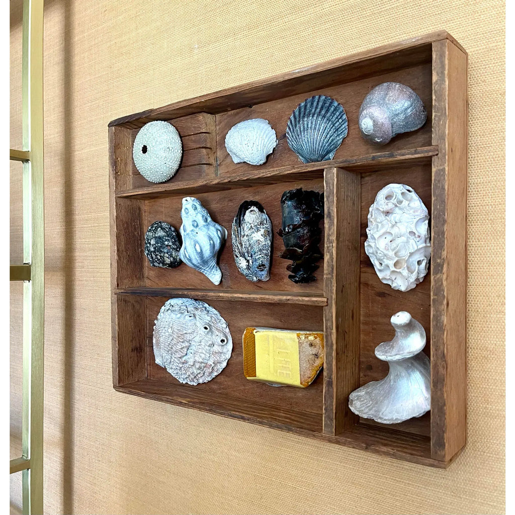 Small Vintage Wooden Printer’s Tray With Coastal Treasures From Santa Barbara