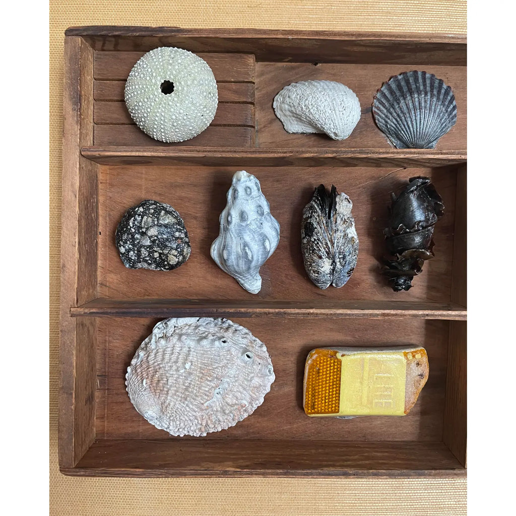 Small Vintage Wooden Printer’s Tray With Coastal Treasures From Santa Barbara
