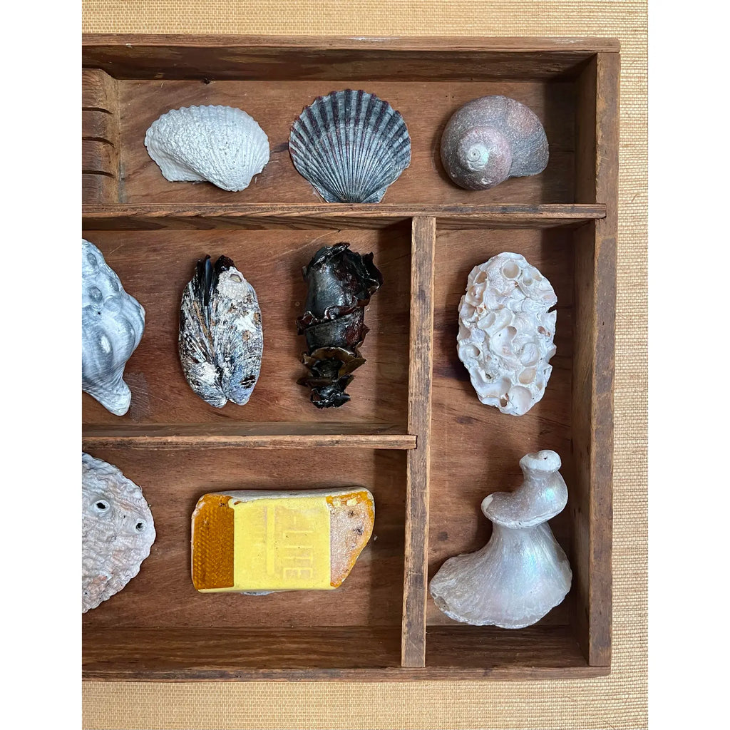 Small Vintage Wooden Printer’s Tray With Coastal Treasures From Santa Barbara