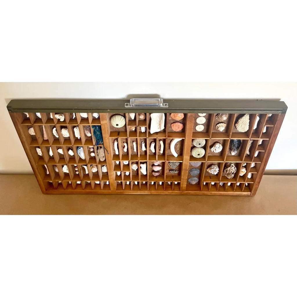 Vintage Nautical Shell Collection in a Rustic Wooden Printer's Type Tray