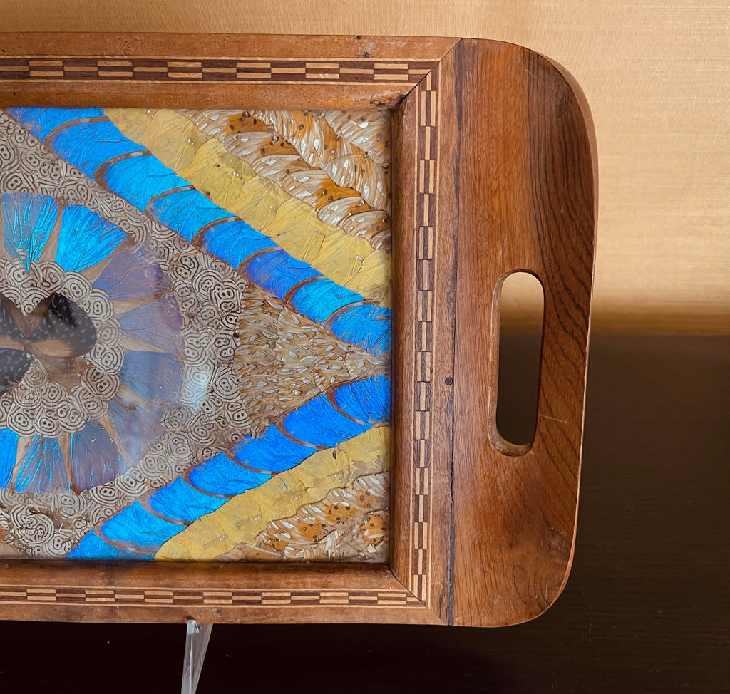 Set Of 3 Early 20th Century Brazilian Butterfly Trays