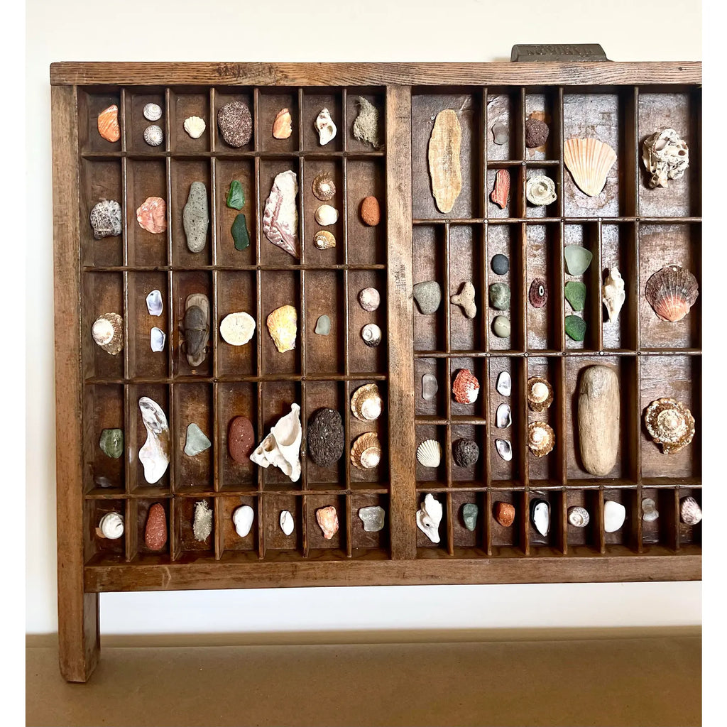 Vintage Wooden Printer’s Tray With Curated Sea Shell Collection