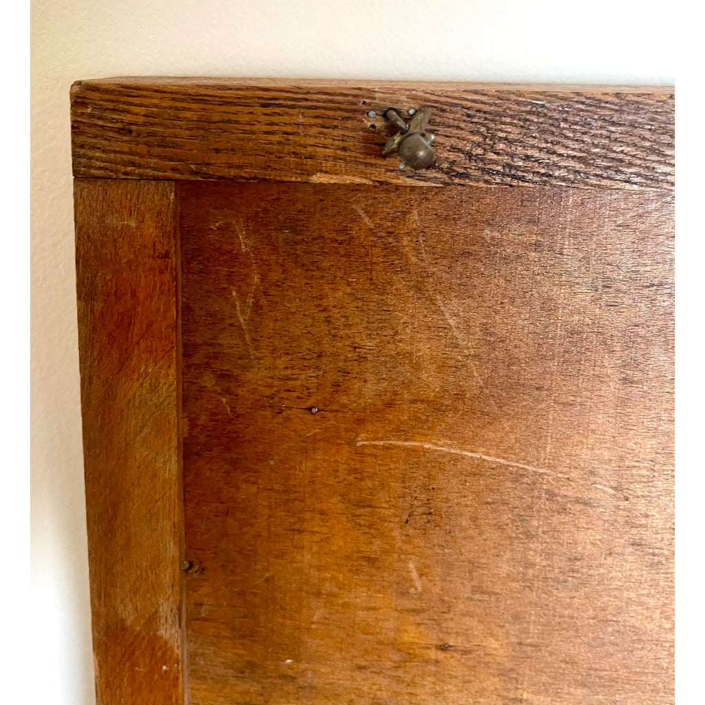 Vintage Wooden Printer’s Tray With Curated Sea Shell Collection