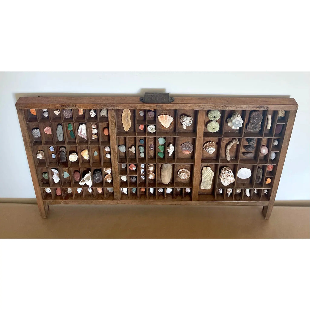 Vintage Wooden Printer’s Tray With Curated Sea Shell Collection