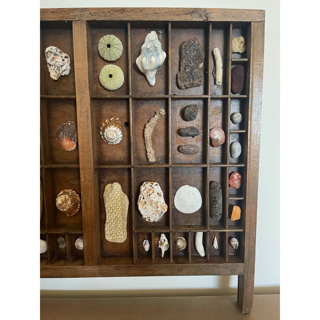 Vintage Wooden Printer’s Tray With Curated Sea Shell Collection
