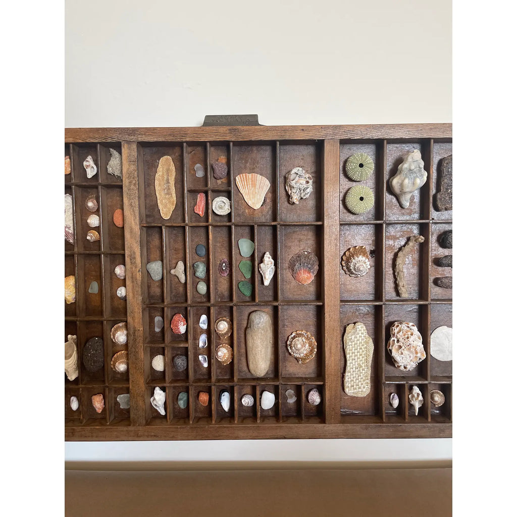 Vintage Wooden Printer’s Tray With Curated Sea Shell Collection