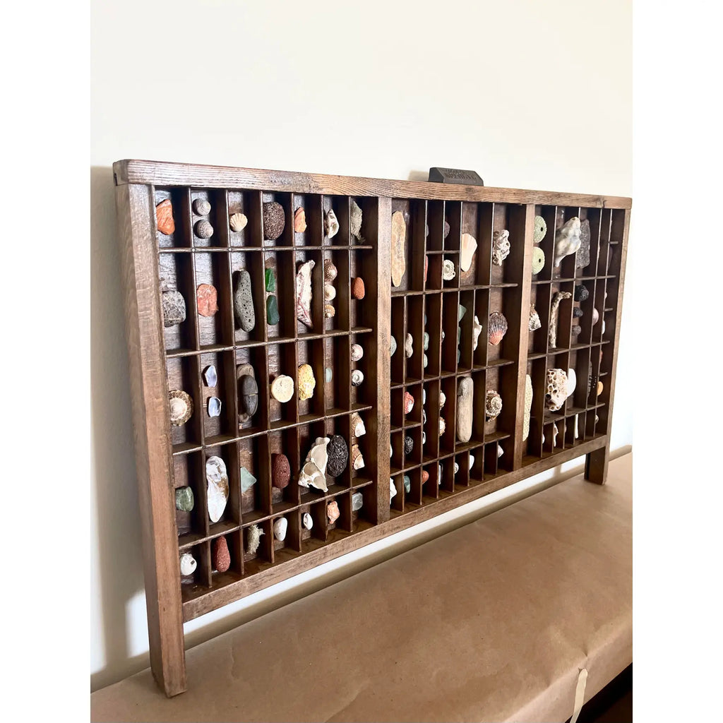 Vintage Wooden Printer’s Tray With Curated Sea Shell Collection