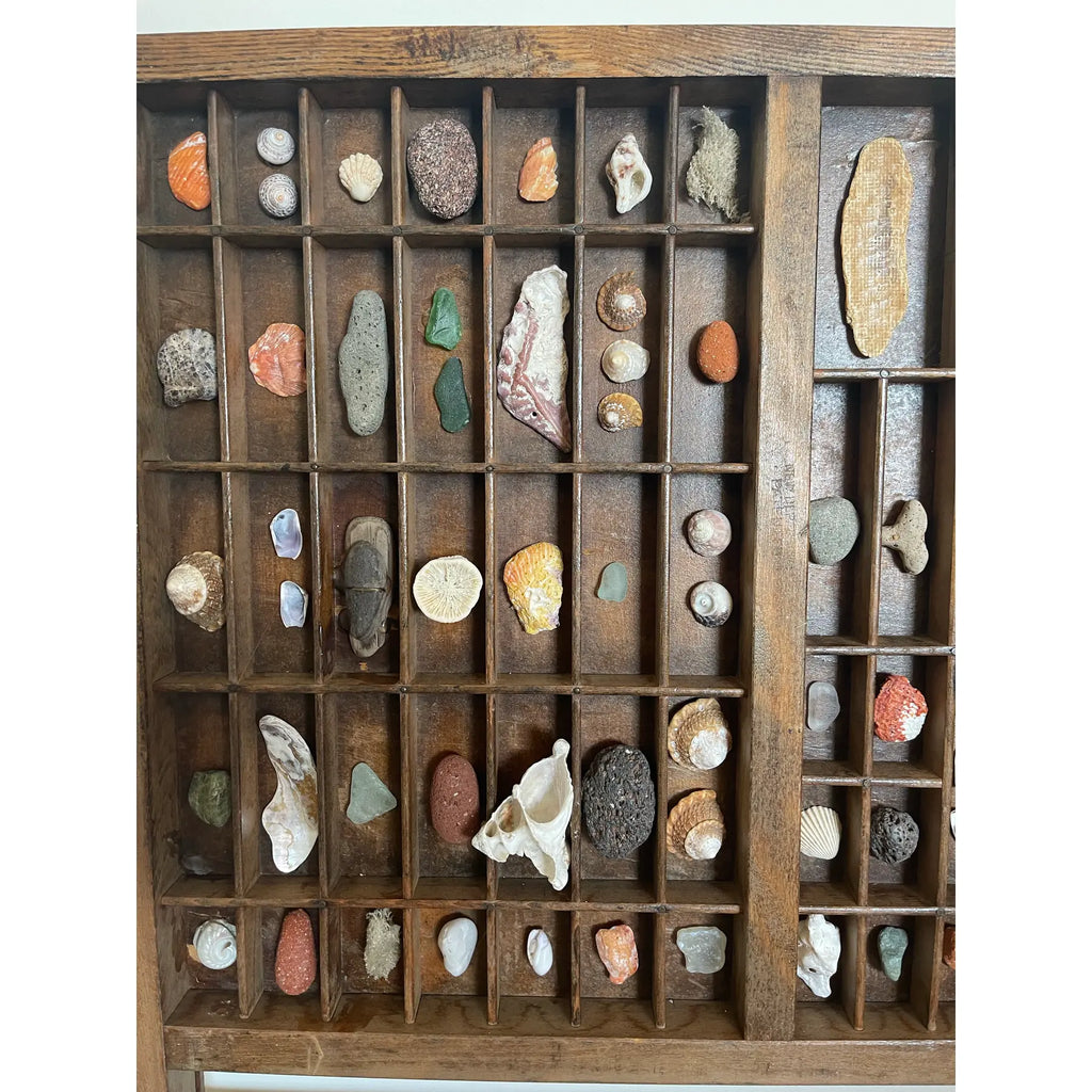 Vintage Wooden Printer’s Tray With Curated Sea Shell Collection