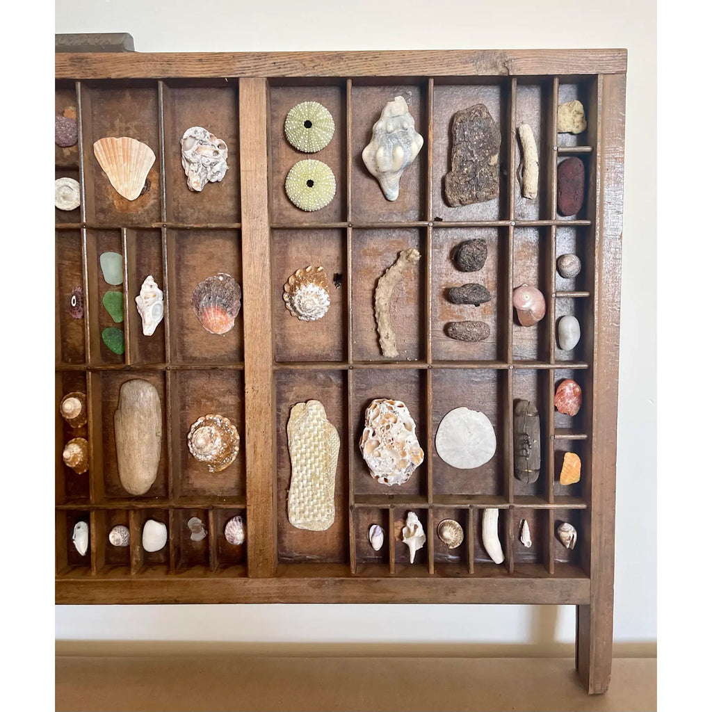 Vintage Wooden Printer’s Tray With Curated Sea Shell Collection